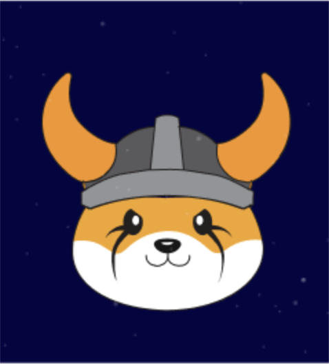 FLOKI Token